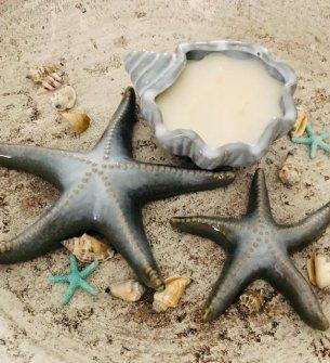 Candle set Shell & Starfishes